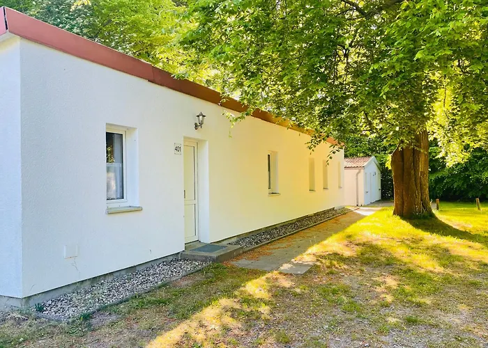 Am Buchenkampweg غرال موريتز